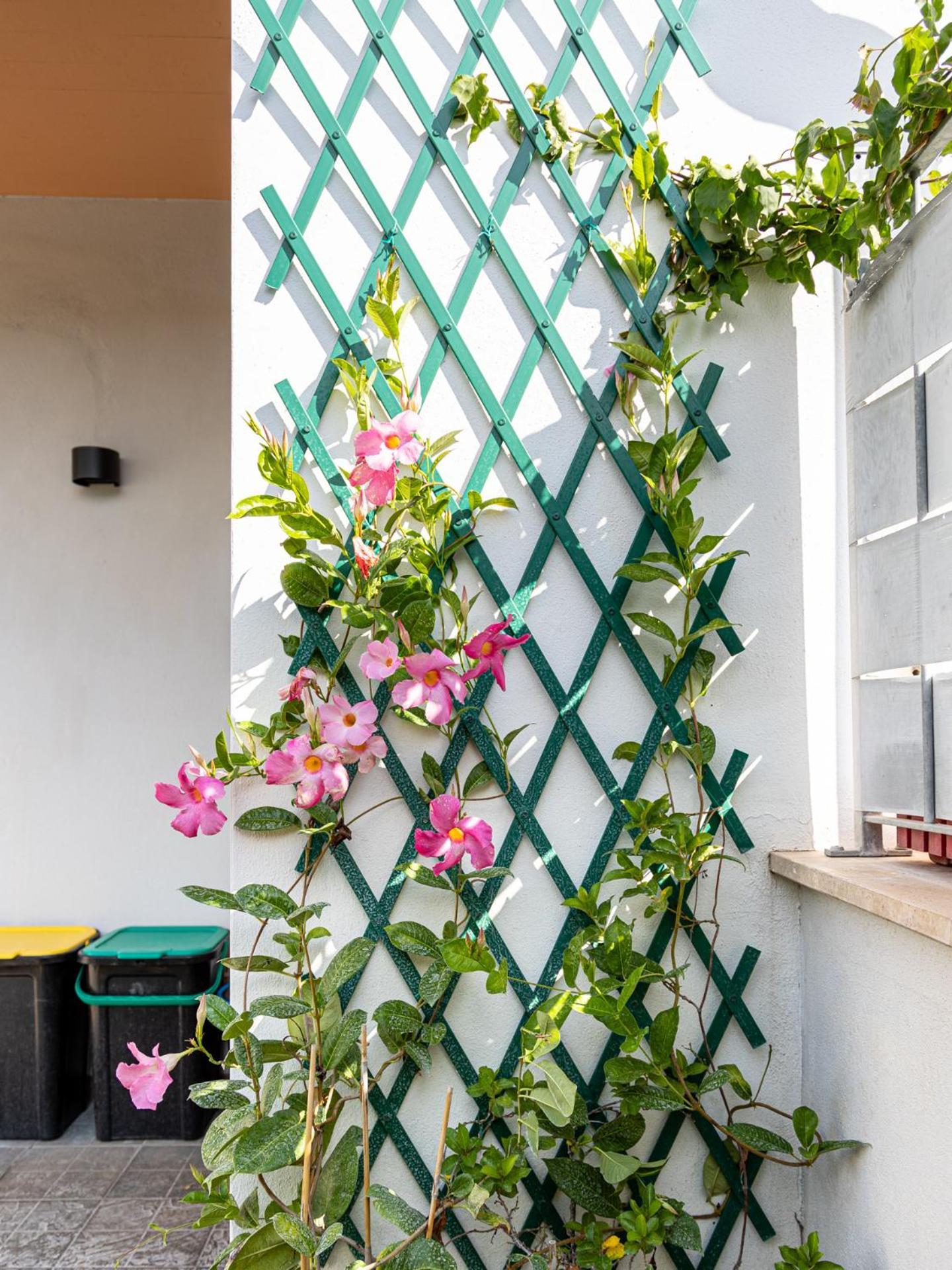 Mrb Real Estate - Maison Ludovica - Monolocale Moderno Con Giardino Frattocchie Bagian luar foto